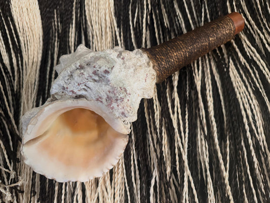 Putatara (Frog Shell Trumpet)